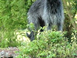 twiggy_20211130_1304838197